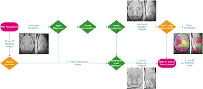 A Multicenter Preclinical MRI Study: Definition of Rat Brain Relaxometry Reference Maps